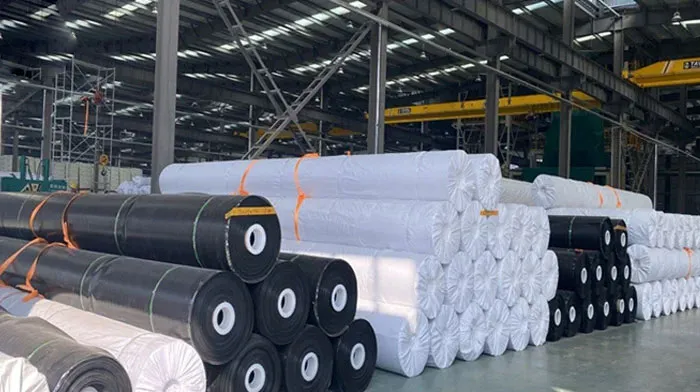 تفاوت خط تولید ژئوممبران HDPE و LLDPE